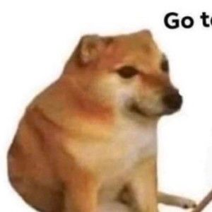 Meet your Posher, Ollie